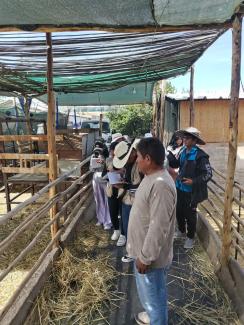 Visita establo Idema