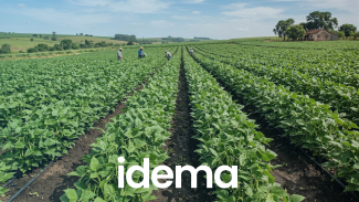inia_idema